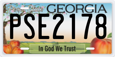 GA license plate PSE2178