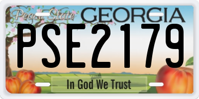 GA license plate PSE2179