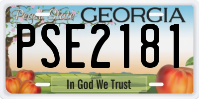 GA license plate PSE2181