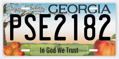 GA license plate PSE2182