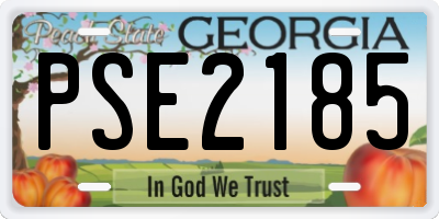 GA license plate PSE2185