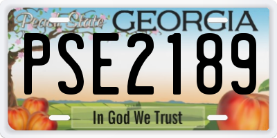 GA license plate PSE2189