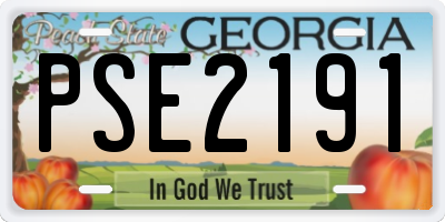 GA license plate PSE2191