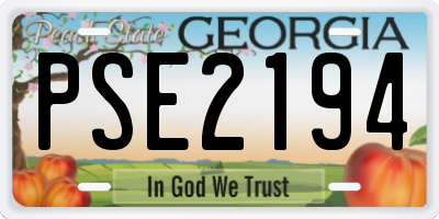 GA license plate PSE2194
