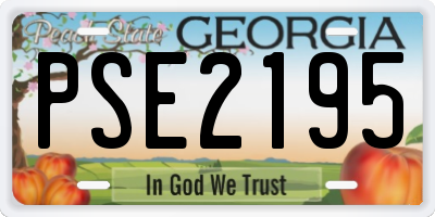 GA license plate PSE2195