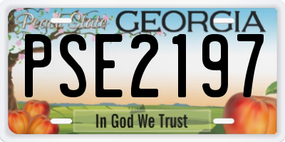 GA license plate PSE2197