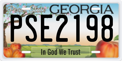 GA license plate PSE2198