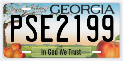GA license plate PSE2199