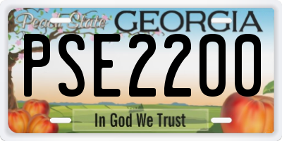 GA license plate PSE2200