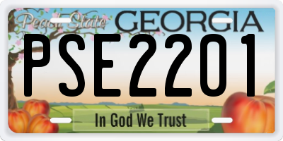 GA license plate PSE2201