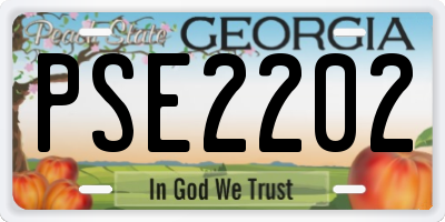 GA license plate PSE2202