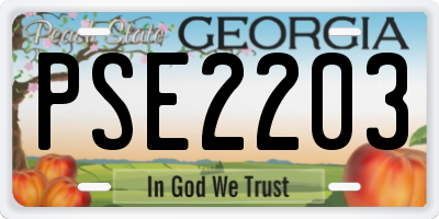 GA license plate PSE2203
