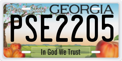 GA license plate PSE2205