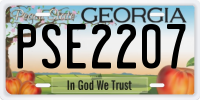 GA license plate PSE2207