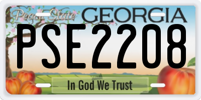 GA license plate PSE2208