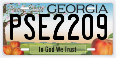 GA license plate PSE2209