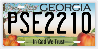 GA license plate PSE2210