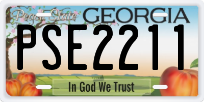 GA license plate PSE2211