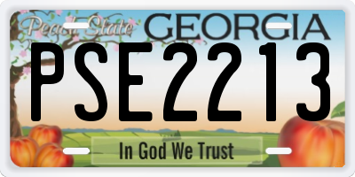 GA license plate PSE2213
