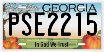 GA license plate PSE2215