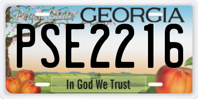 GA license plate PSE2216