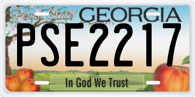 GA license plate PSE2217
