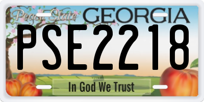 GA license plate PSE2218