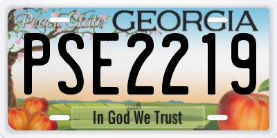 GA license plate PSE2219