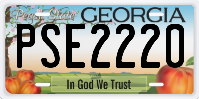 GA license plate PSE2220