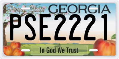 GA license plate PSE2221