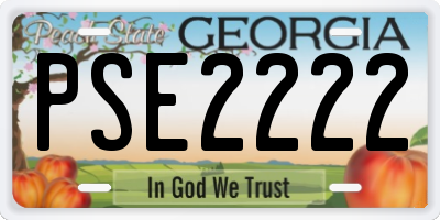 GA license plate PSE2222