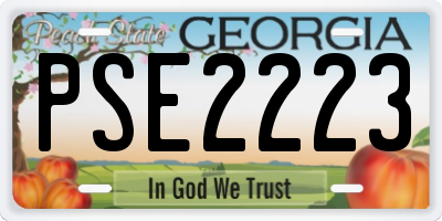 GA license plate PSE2223