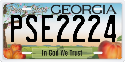 GA license plate PSE2224