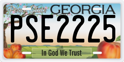 GA license plate PSE2225