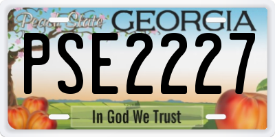 GA license plate PSE2227