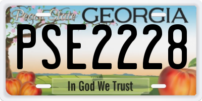 GA license plate PSE2228
