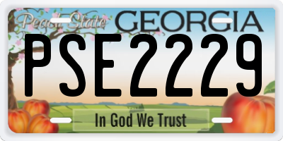 GA license plate PSE2229