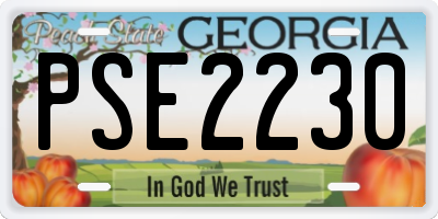 GA license plate PSE2230