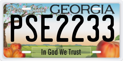 GA license plate PSE2233