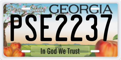 GA license plate PSE2237