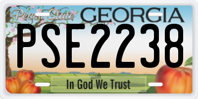 GA license plate PSE2238