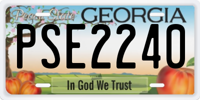 GA license plate PSE2240