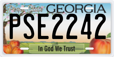 GA license plate PSE2242