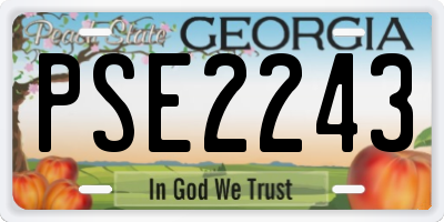 GA license plate PSE2243