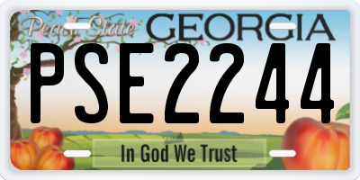 GA license plate PSE2244