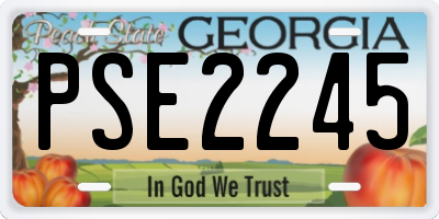 GA license plate PSE2245