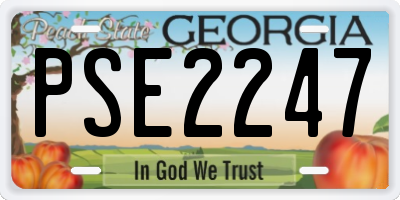 GA license plate PSE2247