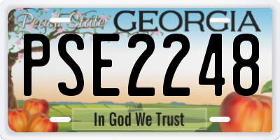GA license plate PSE2248