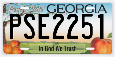 GA license plate PSE2251