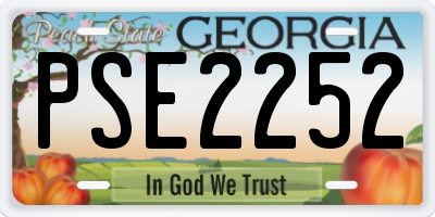 GA license plate PSE2252